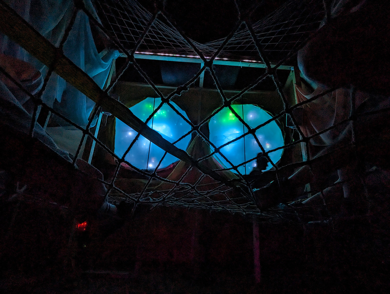 In search of Spider Consciousness — import small PXL 20230707 005024058 jpg 545d251a